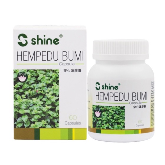 Shine Hempedu Bumi
